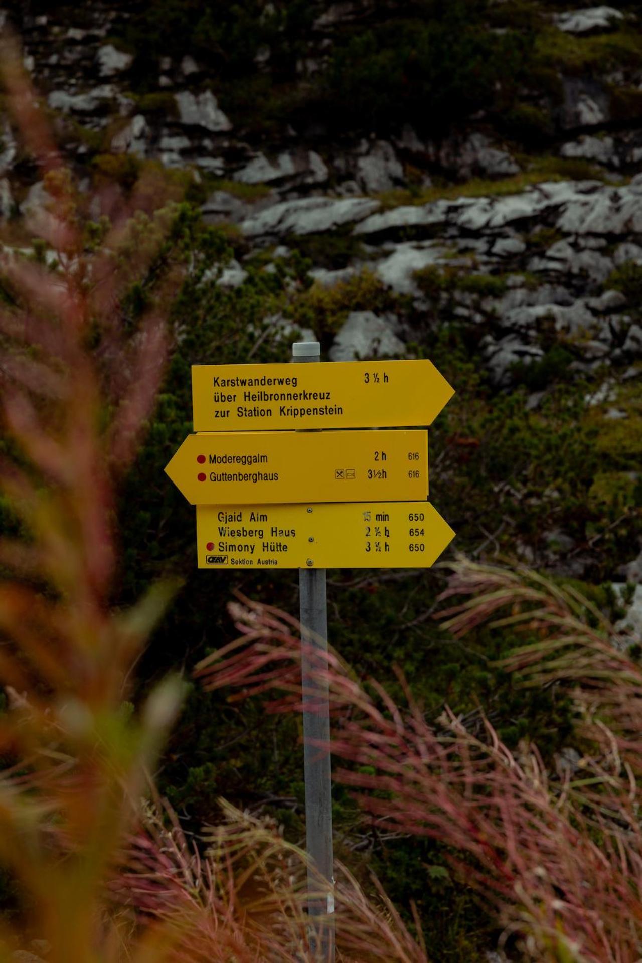 Gjaid-Alm 1739M Am Dachstein-Only Accessible By Cable Car Hotel Obertraun Kültér fotó